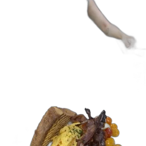 food, shoes, animal, creature transparent PNG cut-out