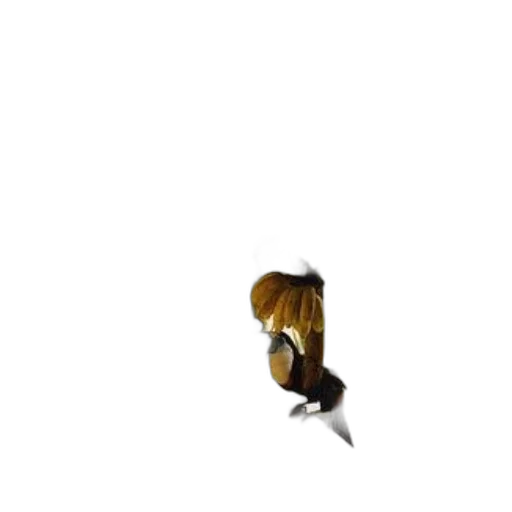 staff, animal, weapon, hair transparent PNG cut-out