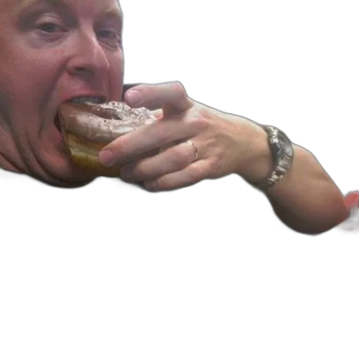 food, creature, animal, face transparent PNG cut-out