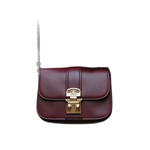 jewelry, calvin, bag, seen transparent PNG cut-out