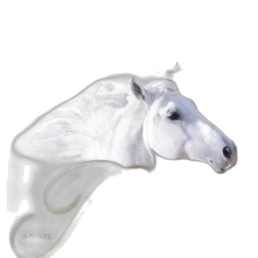 jewelry, animal, mask, crown transparent PNG cut-out