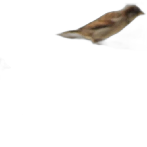 animal, creature, staff, shoes transparent PNG cut-out