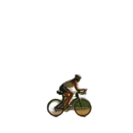 animal, creature, furniture, staff transparent PNG cut-out