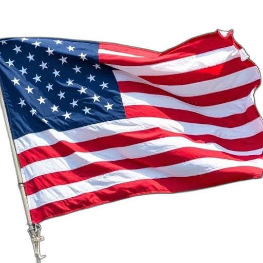 weapon, flag, word, independence transparent PNG cut-out