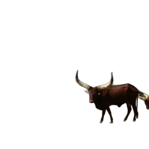 animal, creature, weapon, furniture transparent PNG cut-out