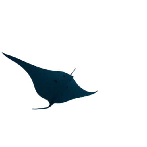 umbrella, hat, staff, crown transparent PNG cut-out
