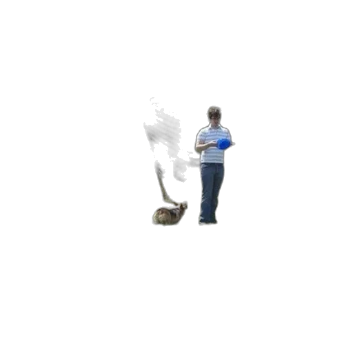 staff, robot, creature, animal transparent PNG cut-out