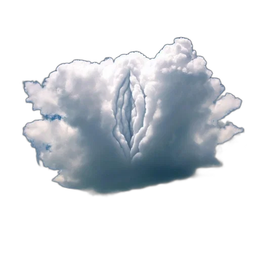crown, dragon, jacket, umbrella transparent PNG cut-out