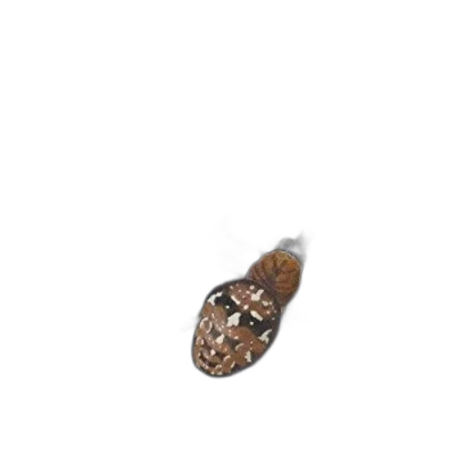jewelry, shoes, hair, food transparent PNG cut-out