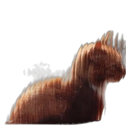 animal, hair, creature, dragon transparent PNG cut-out