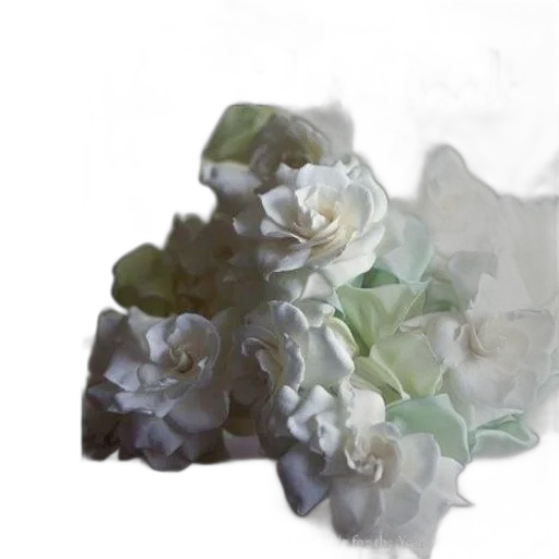 flower, crown, jewelry, mask transparent PNG cut-out