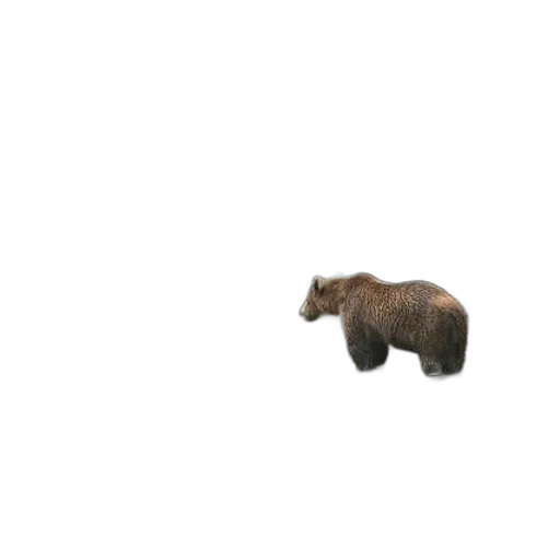 animal, creature, staff, hair transparent PNG cut-out