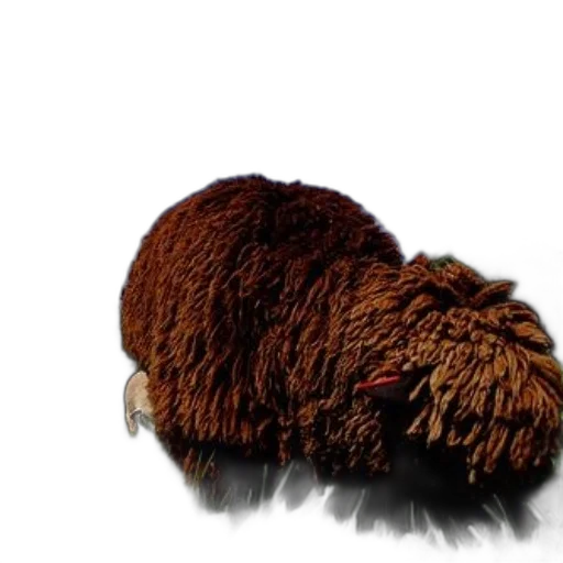 hair, animal, hat, staff transparent PNG cut-out