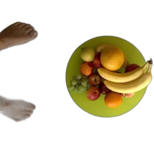 food, shoes, animal, photorealistic transparent PNG cut-out