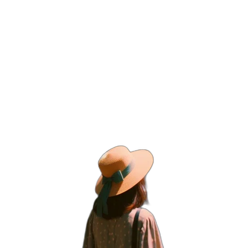 hat, dress, jacket, staff transparent PNG cut-out
