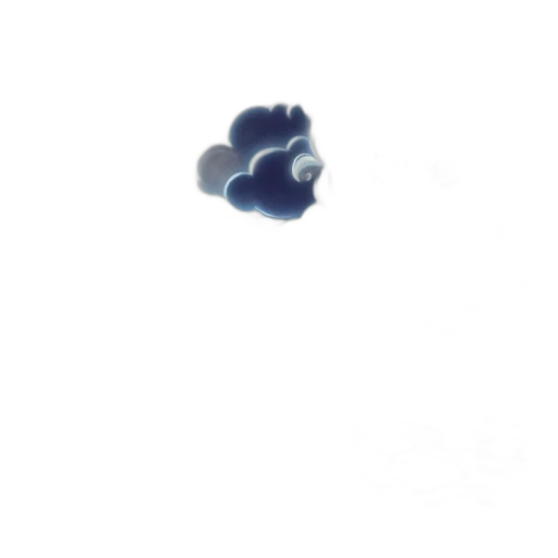crown, jewelry, food, flower transparent PNG cut-out
