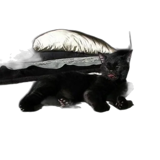 dragon, hair, creature, animal transparent PNG cut-out