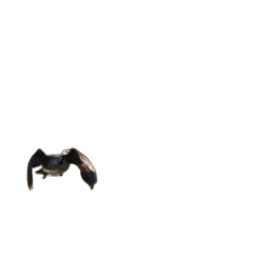 weapon, shoes, mask, dragon transparent PNG cut-out