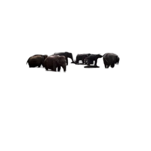 animal, food, pixel art, concept art transparent PNG cut-out