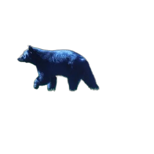 animal, creature, car, weapon transparent PNG cut-out