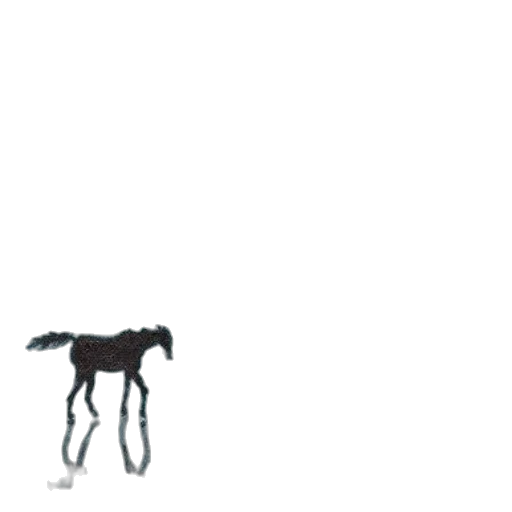 animal, creature, robot, dragon transparent PNG cut-out