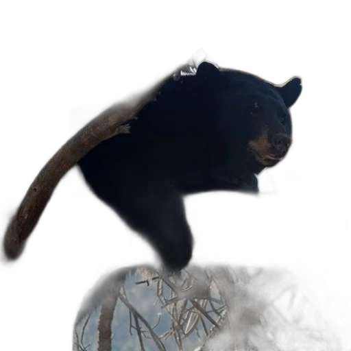 dragon, animal, staff, creature transparent PNG cut-out