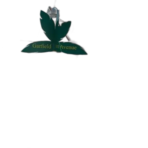 flower, crown, staff, hat transparent PNG cut-out