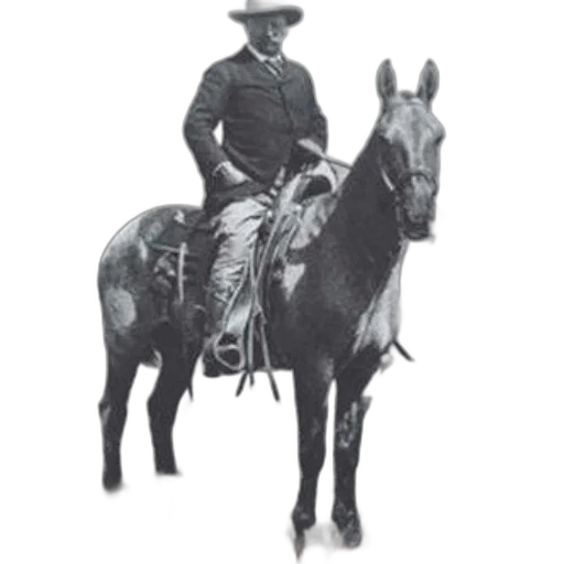 staff, animal, hat, jacket transparent PNG cut-out