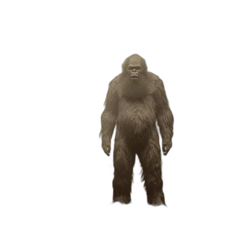 creature, animal, mask, jacket transparent PNG cut-out