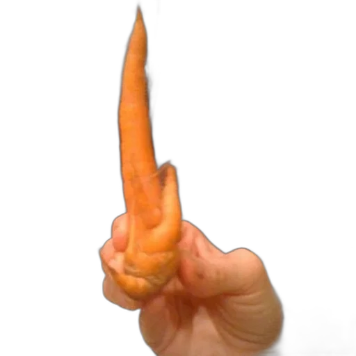 weapon, staff, food, animal transparent PNG cut-out