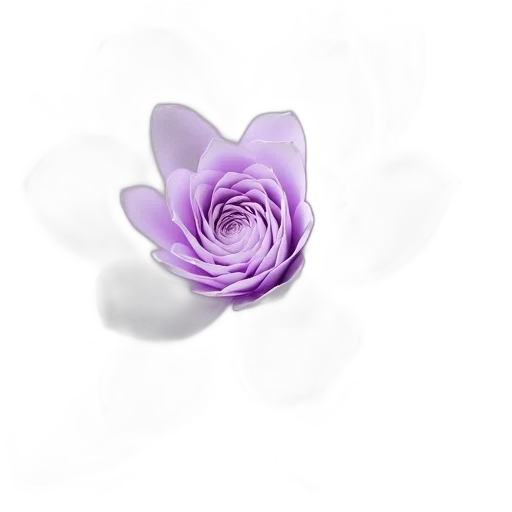flower, jewelry, crown, staff transparent PNG cut-out