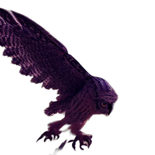dragon, animal, creature, photorealistic transparent PNG cut-out