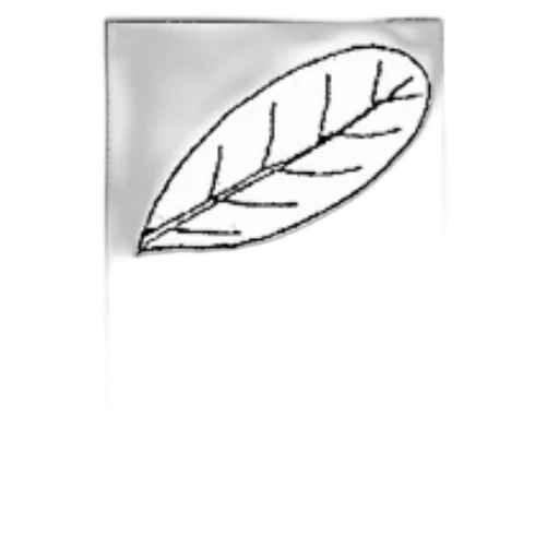 tree, crown, staff, hair transparent PNG cut-out