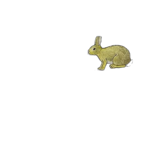 animal, jewelry, creature, food transparent PNG cut-out