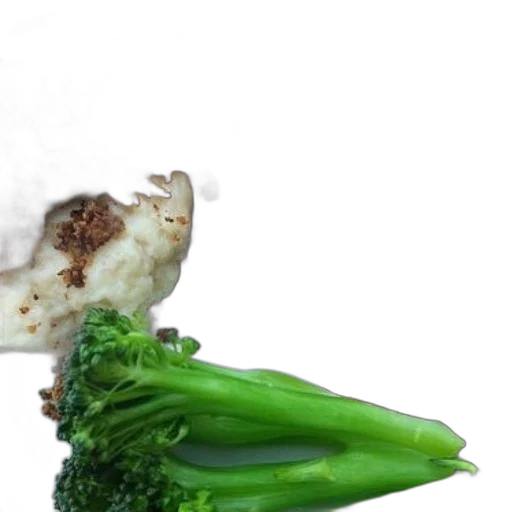 food, dragon, weapon, hair transparent PNG cut-out