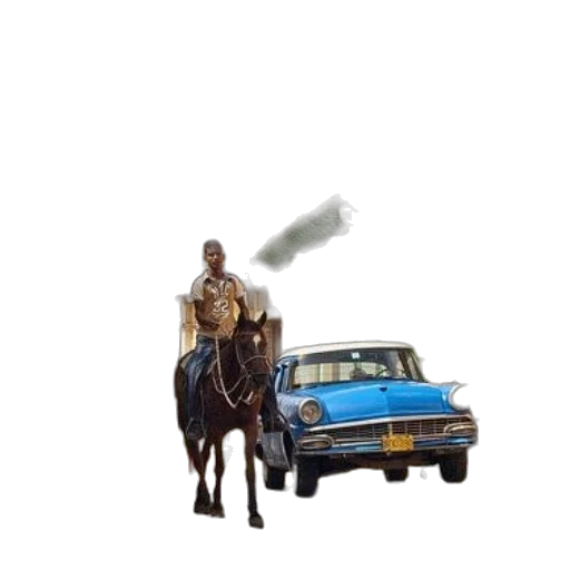 car, weapon, animal, jacket transparent PNG cut-out