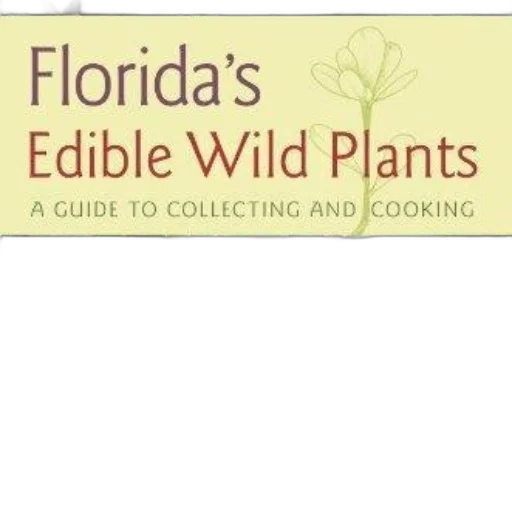 florida, edible, wild, plants transparent PNG cut-out