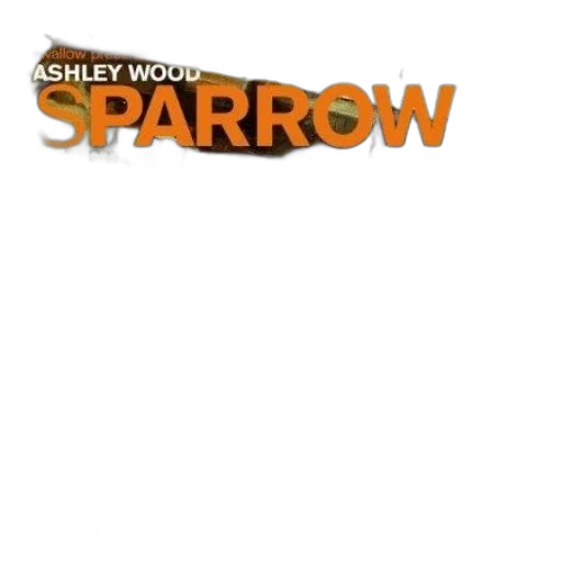staff, weapon, sword, jacket transparent PNG cut-out
