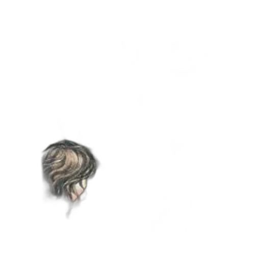 hair, creature, hat, crown transparent PNG cut-out
