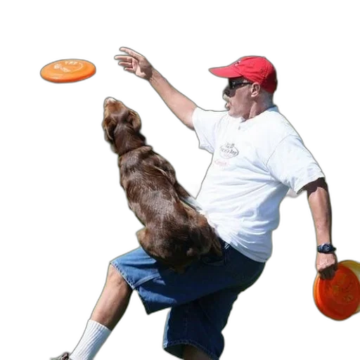 staff, animal, photorealistic, man transparent PNG cut-out