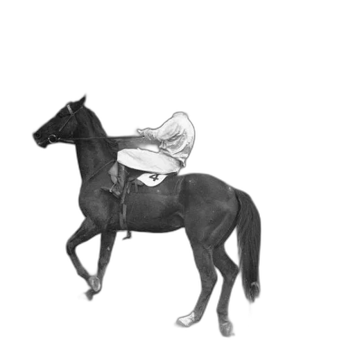 animal, hat, staff, creature transparent PNG cut-out