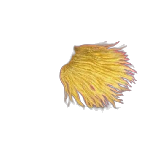 hair, flower, animal, creature transparent PNG cut-out