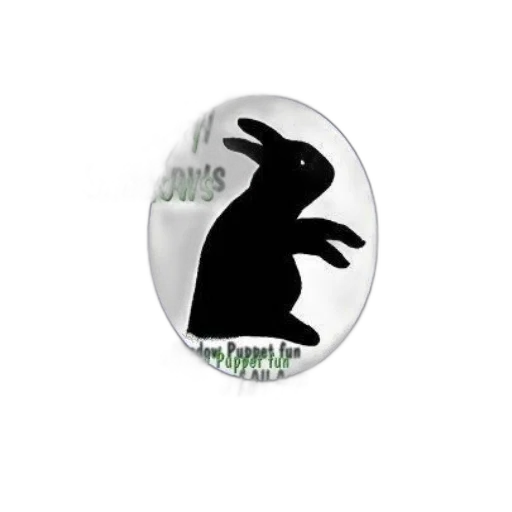 animal, dragon, shadows, shadow transparent PNG cut-out
