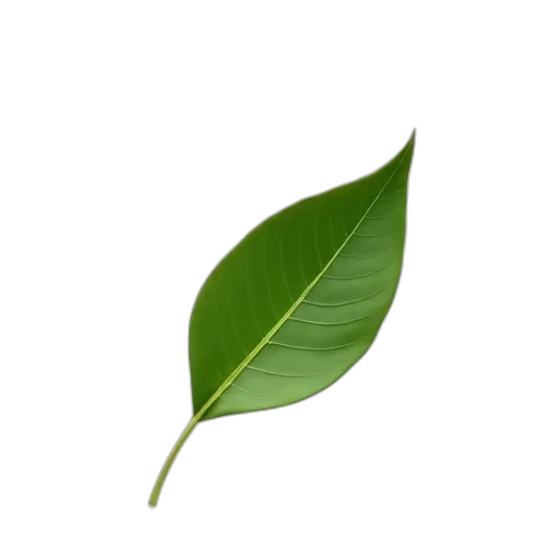 staff, tree, food, flower transparent PNG cut-out