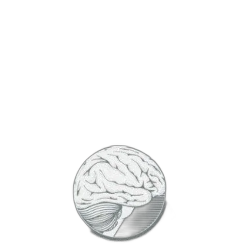 jewelry, crown, hat, hair transparent PNG cut-out