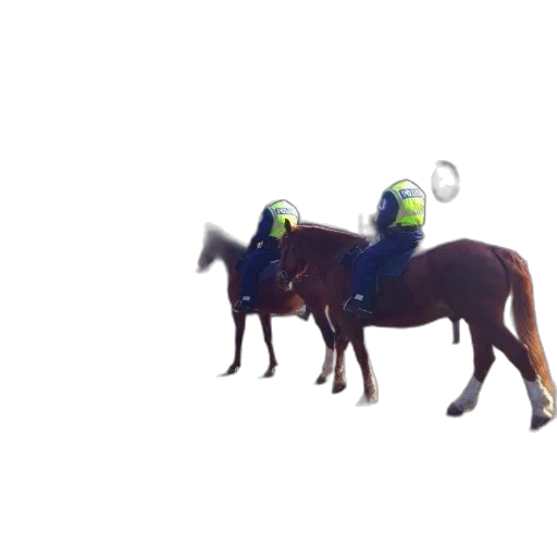 animal, hat, staff, mask transparent PNG cut-out