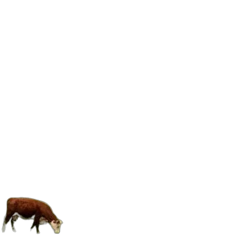 animal, creature, food, furniture transparent PNG cut-out
