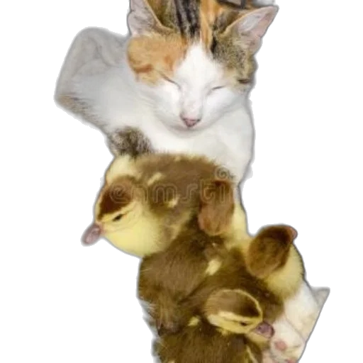 animal, staff, jewelry, weapon transparent PNG cut-out