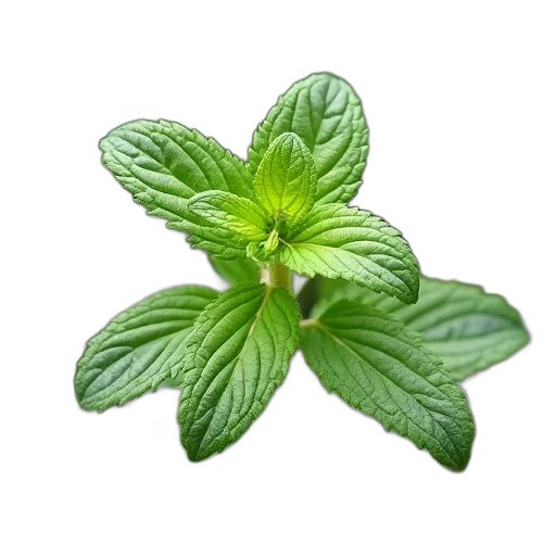 flower, food, staff, crown transparent PNG cut-out