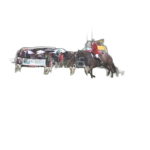car, robot, weapon, animal transparent PNG cut-out